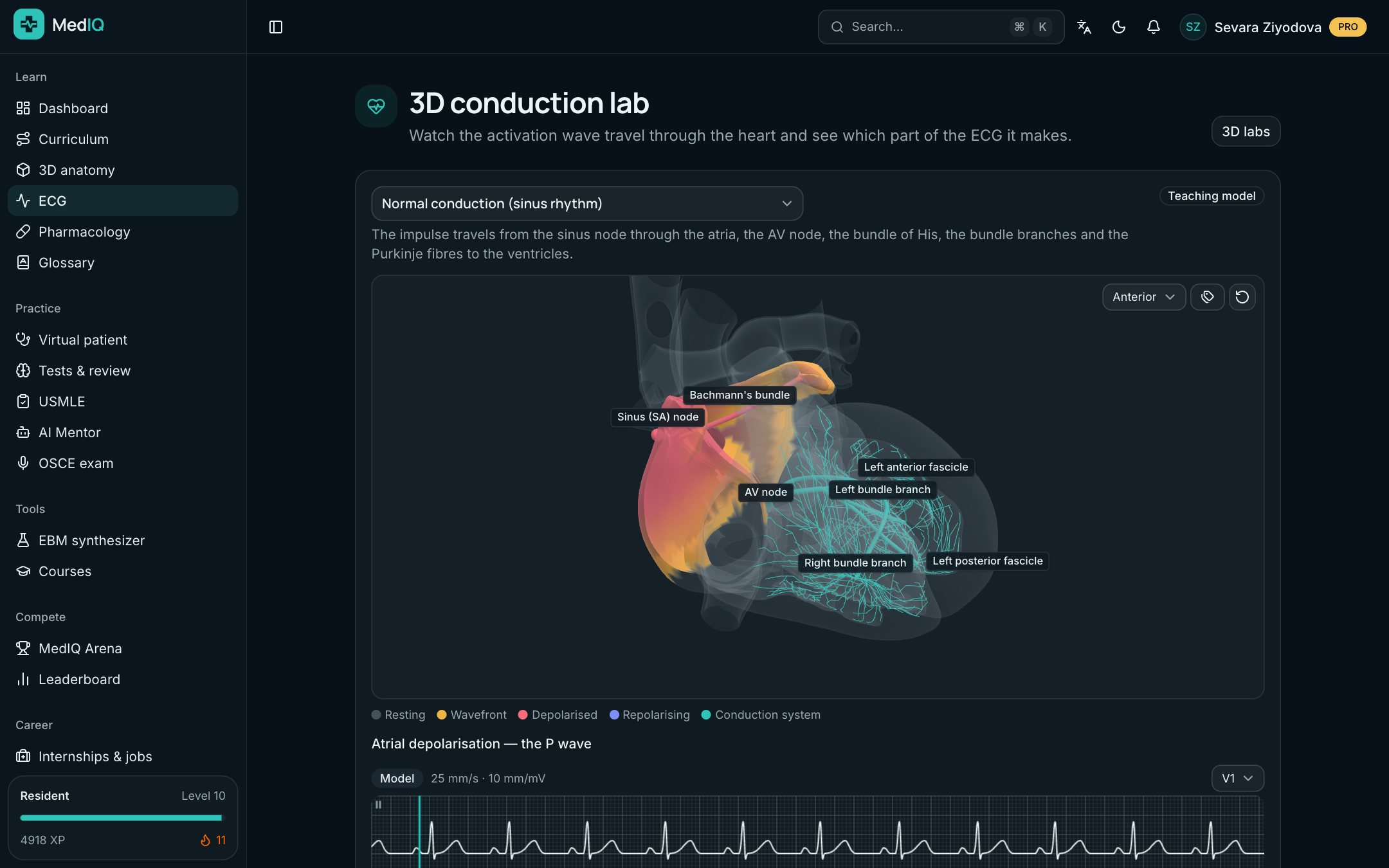 3D lab: a screen of the MedIQ ECG course
