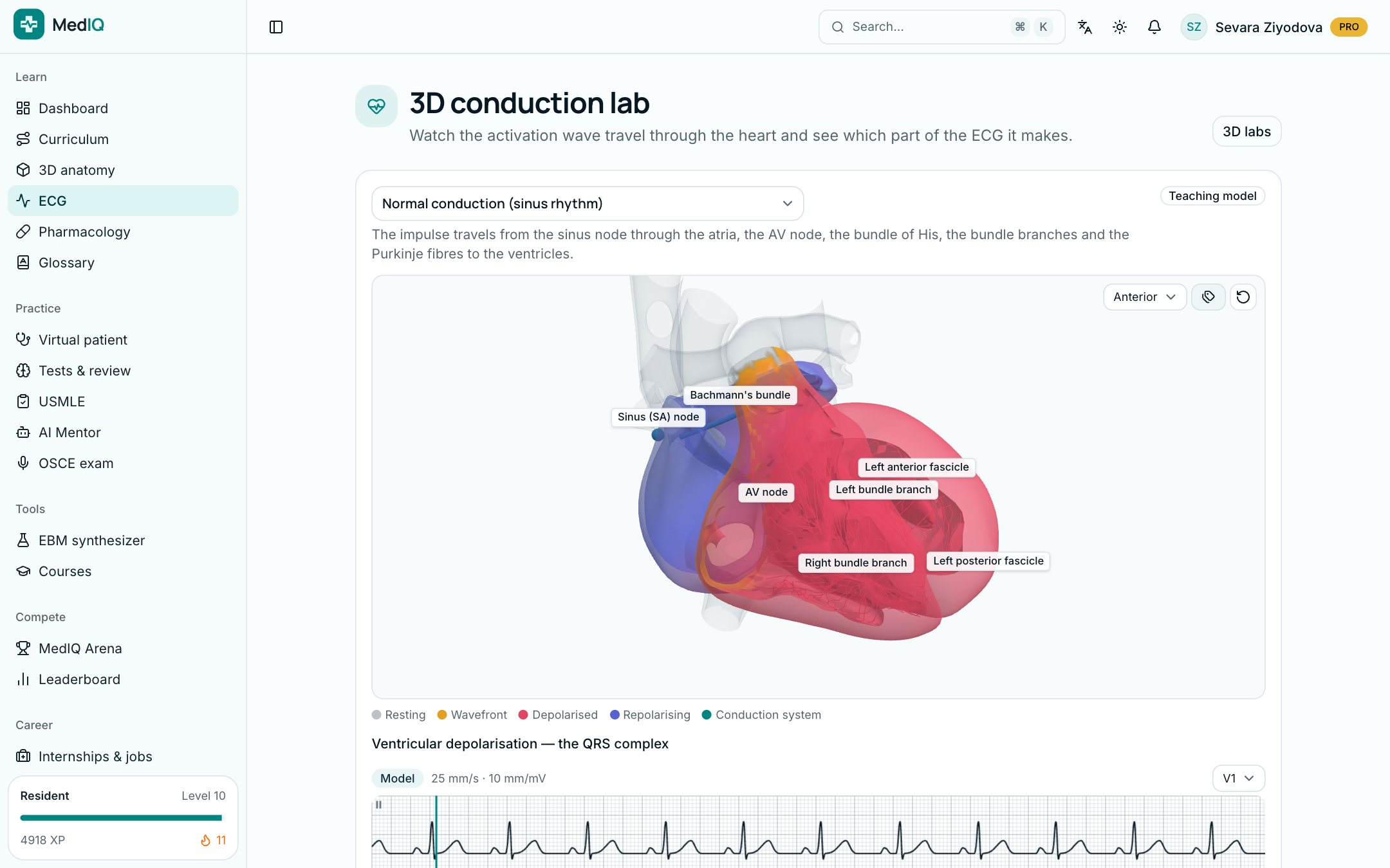 3D lab: a screen of the MedIQ ECG course