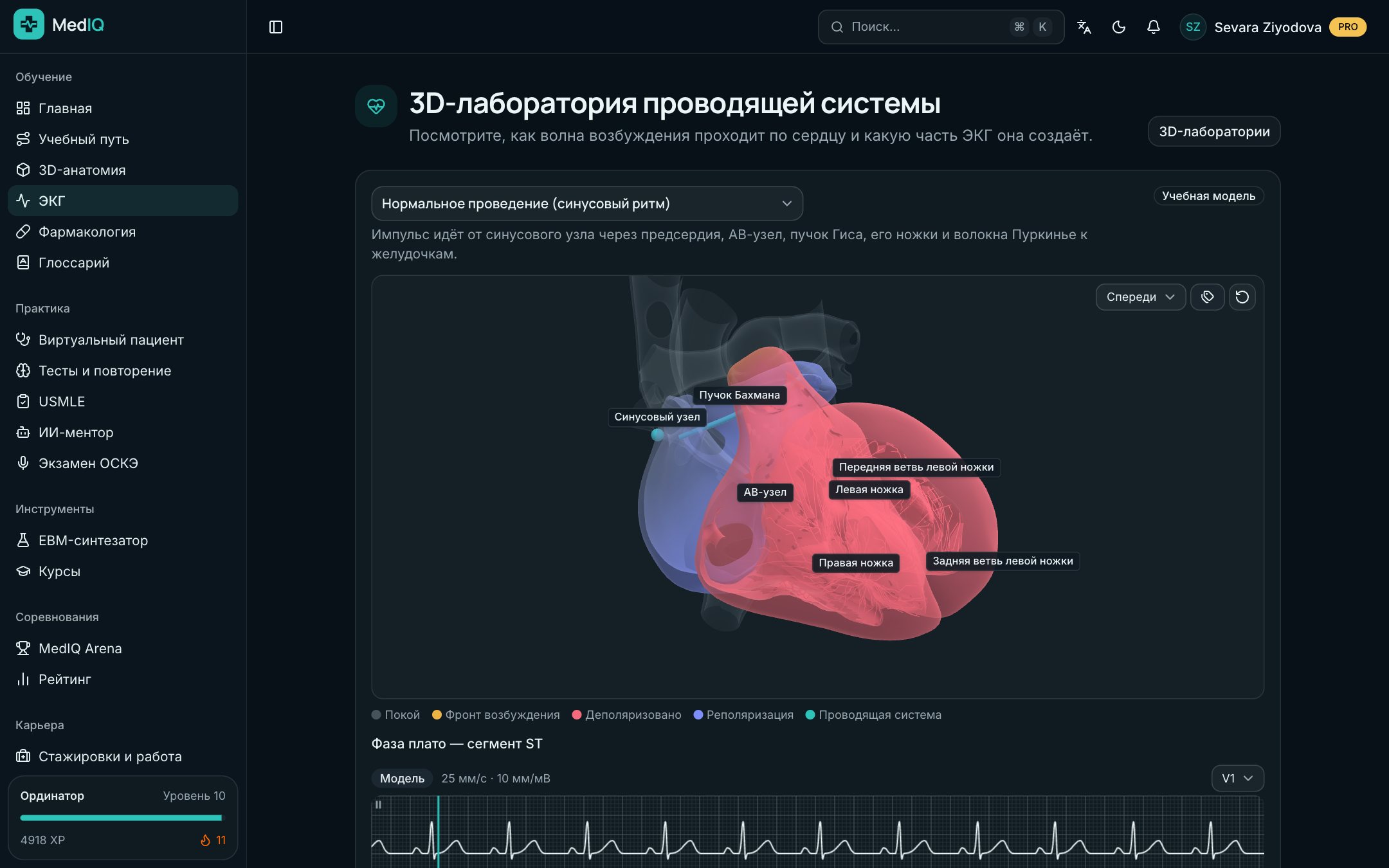 3D-лаборатория — экран курса ЭКГ MedIQ
