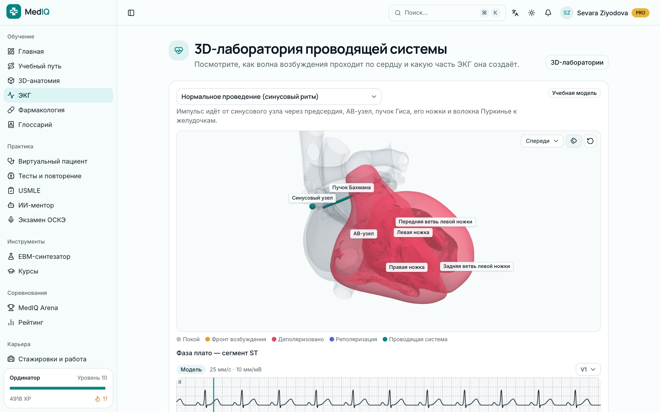 3D-лаборатория — экран курса ЭКГ MedIQ