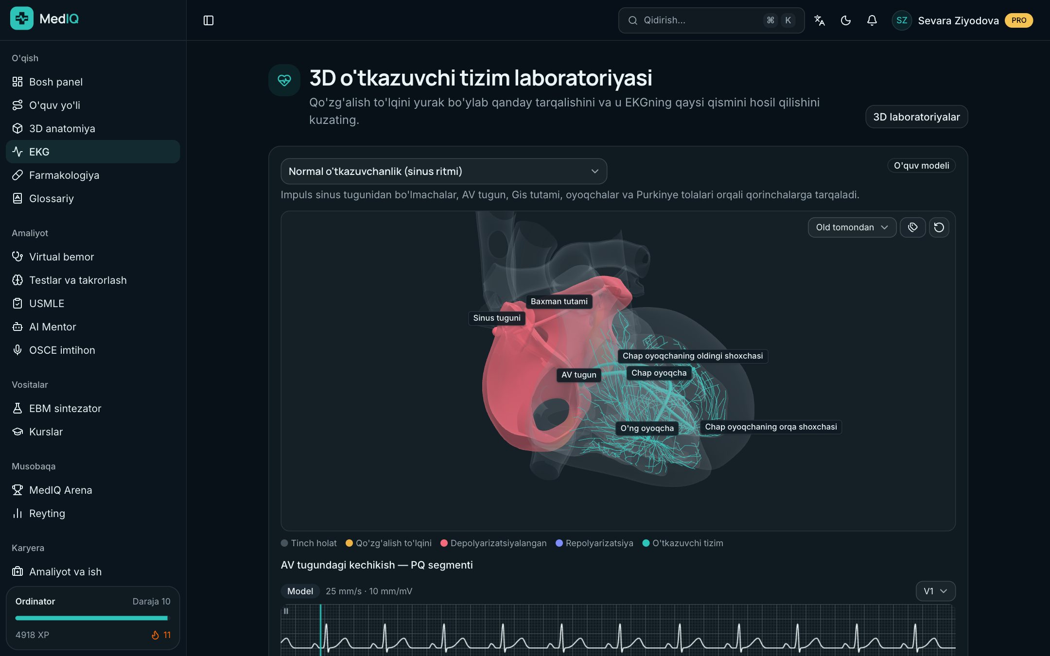 3D laboratoriya — MedIQ EKG kursi ekrani