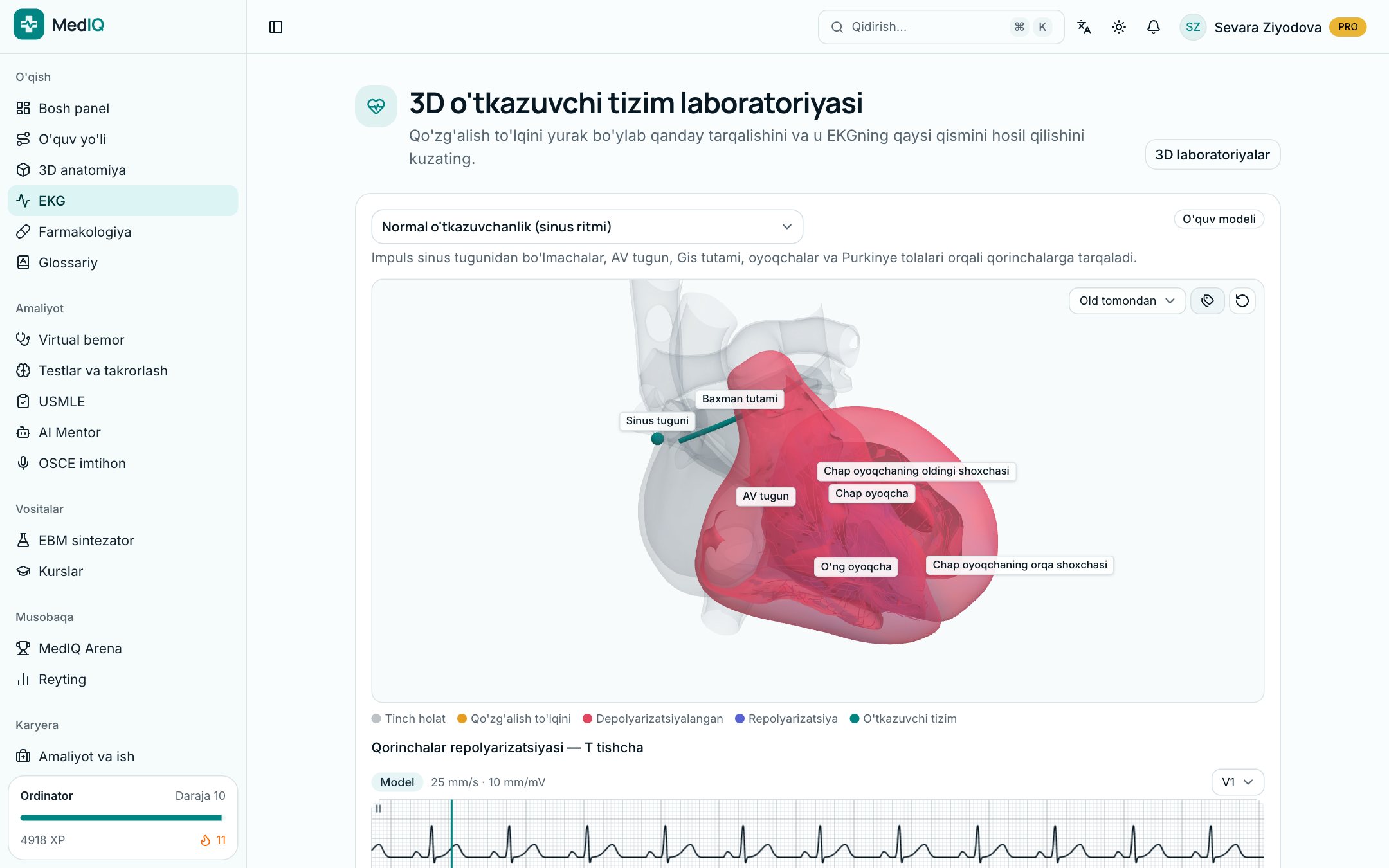 3D laboratoriya — MedIQ EKG kursi ekrani